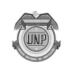 Sentencias Unidad Nacional de Protección